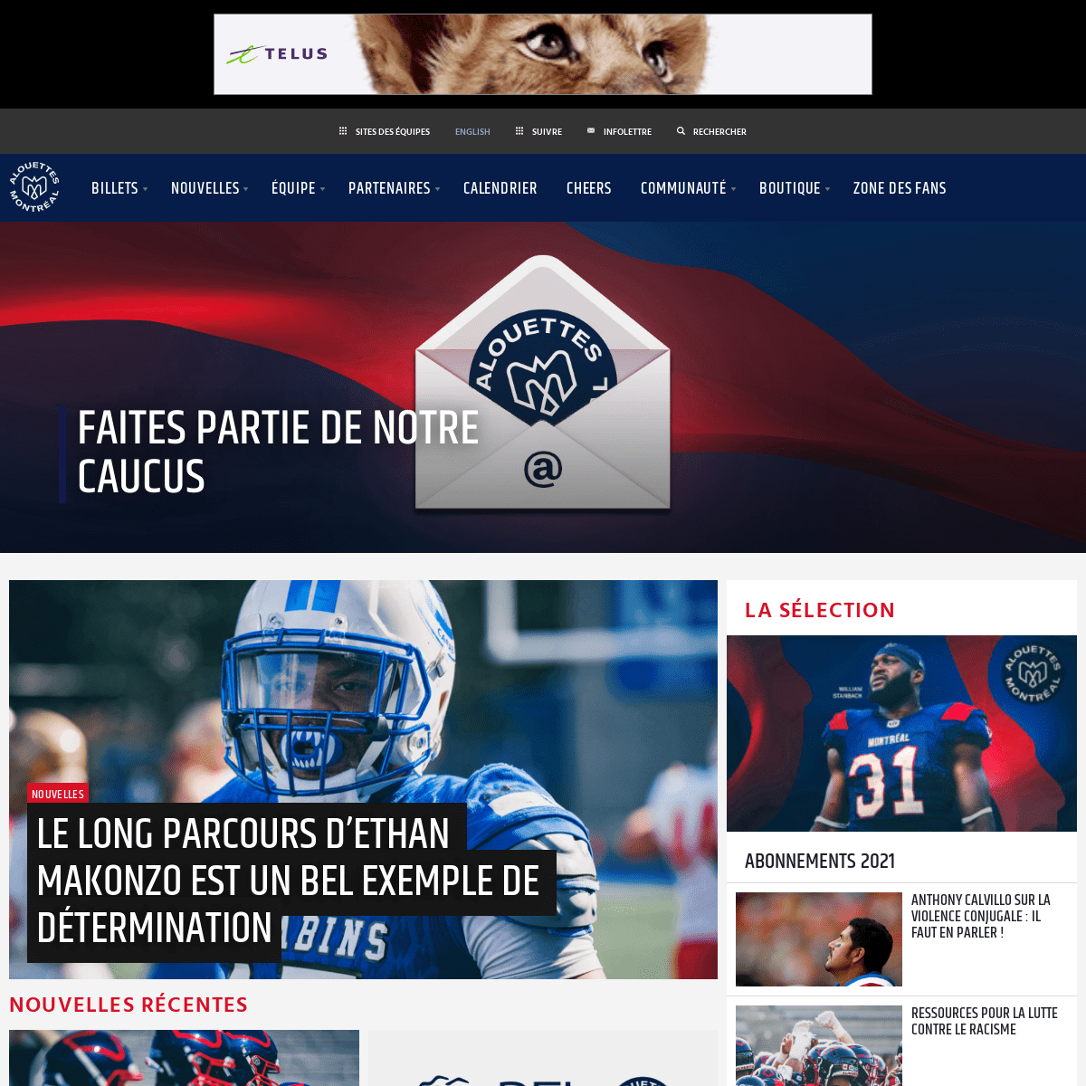 A complete backup of https://montrealalouettes.com