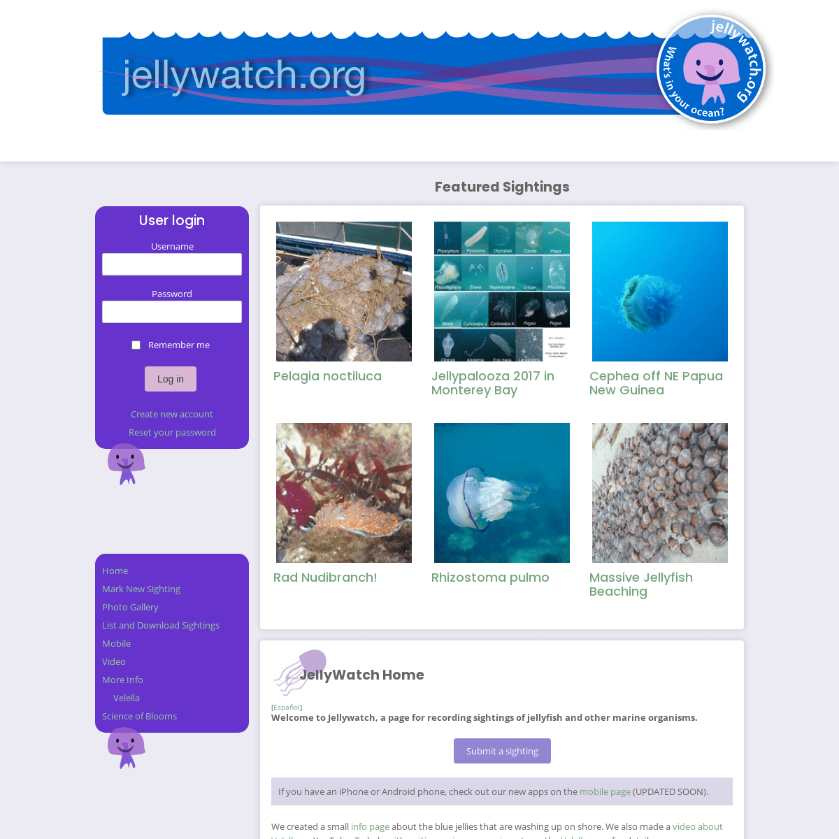 A complete backup of https://jellywatch.org