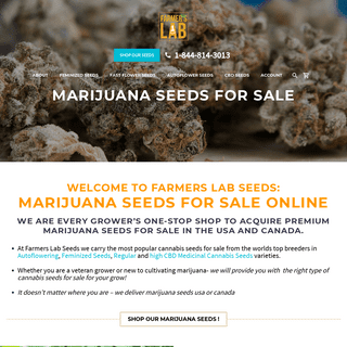 Marijuana Seeds for Sale by Farmers Lab Seeds - Farmers Lab Seeds
