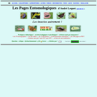 les pages entomologiques d`andrÃ© lequet - -les insectes autrement!-