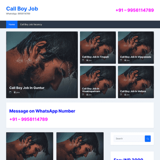 Call Boy Job - WhatsApp- 9956114789