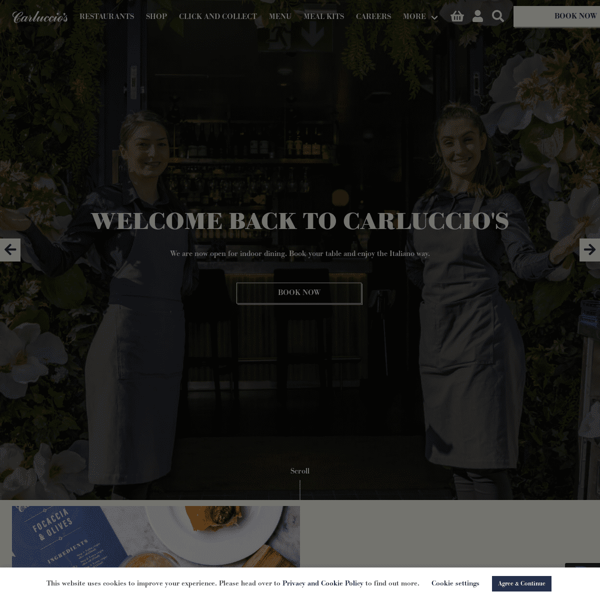 A complete backup of https://carluccios.com