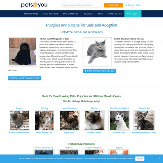 A complete backup of https://pets4you.com