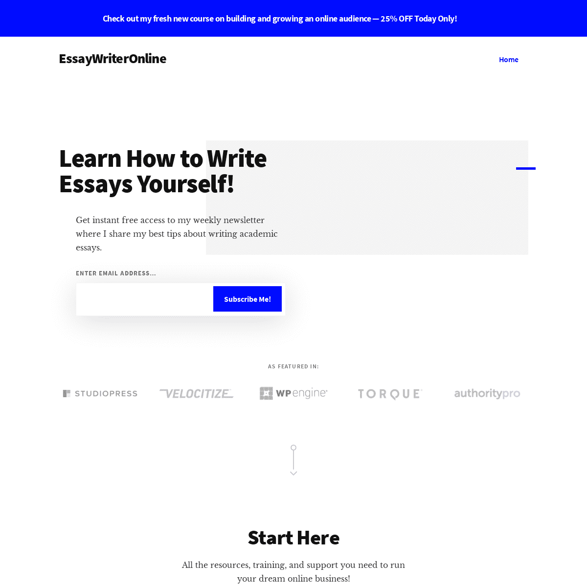 A complete backup of https://essaywriteronline.net