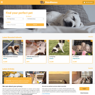 A complete backup of https://pets4homes.co.uk