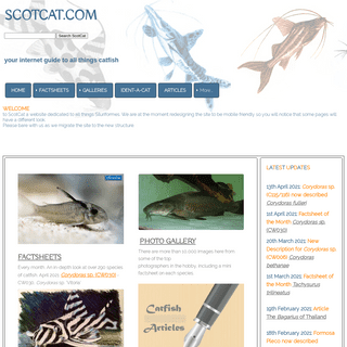 Catfish- Your internet guide to all things Catfish
