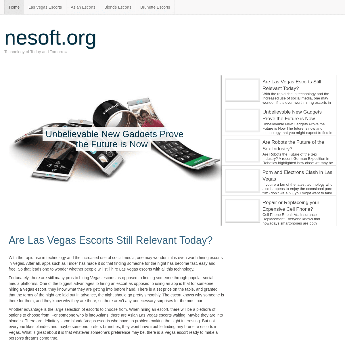 A complete backup of https://nesoft.org