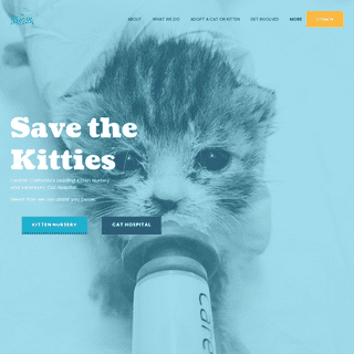 A complete backup of https://meowco.org