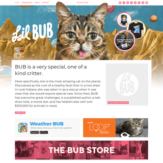 A complete backup of https://lilbub.com