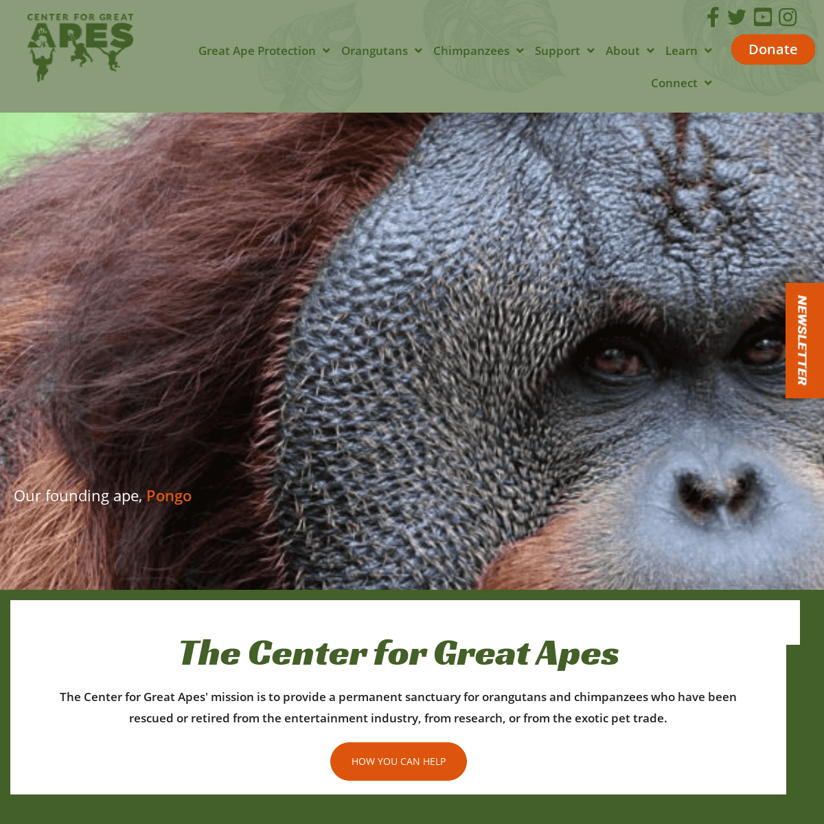 A complete backup of https://centerforgreatapes.org