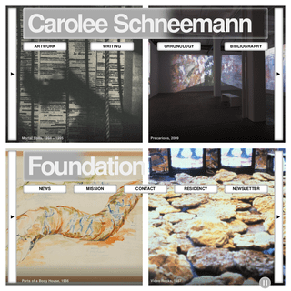 Carolee Schneemann Foundation