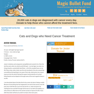 A complete backup of https://themagicbulletfund.org