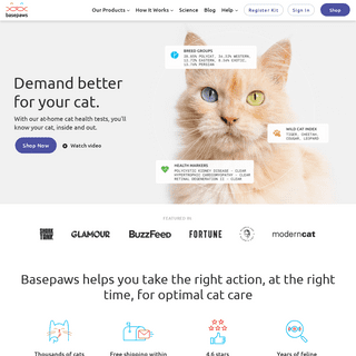 A complete backup of https://basepaws.com