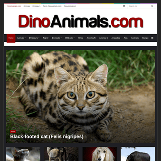 A complete backup of https://dinoanimals.com