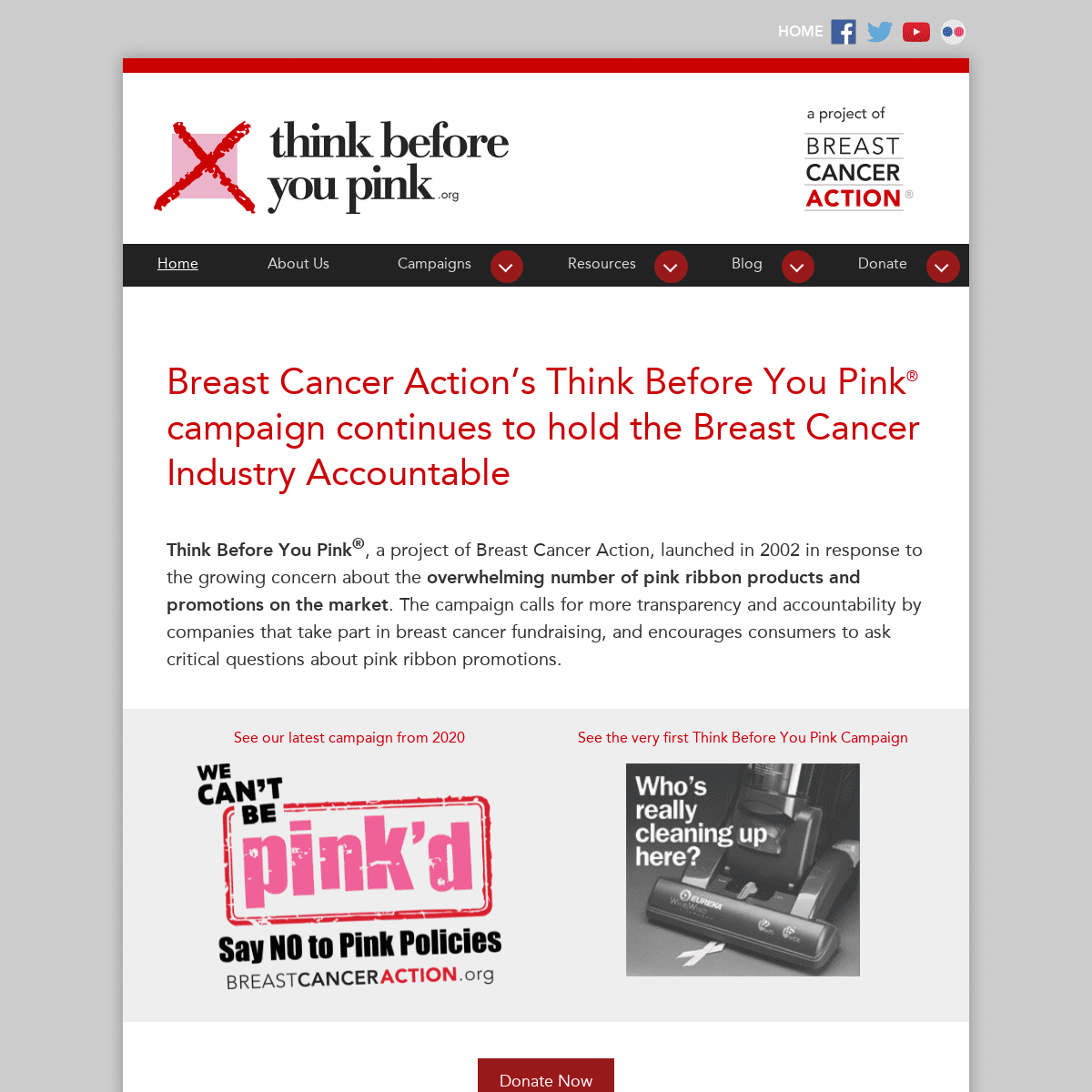 A complete backup of https://thinkbeforeyoupink.org