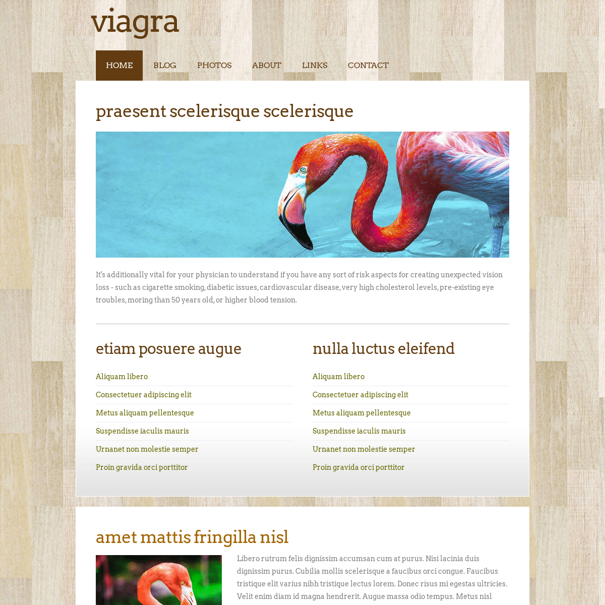 A complete backup of https://viagasi.com