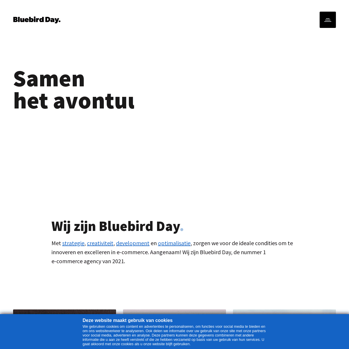 A complete backup of https://bluebirdday.nl
