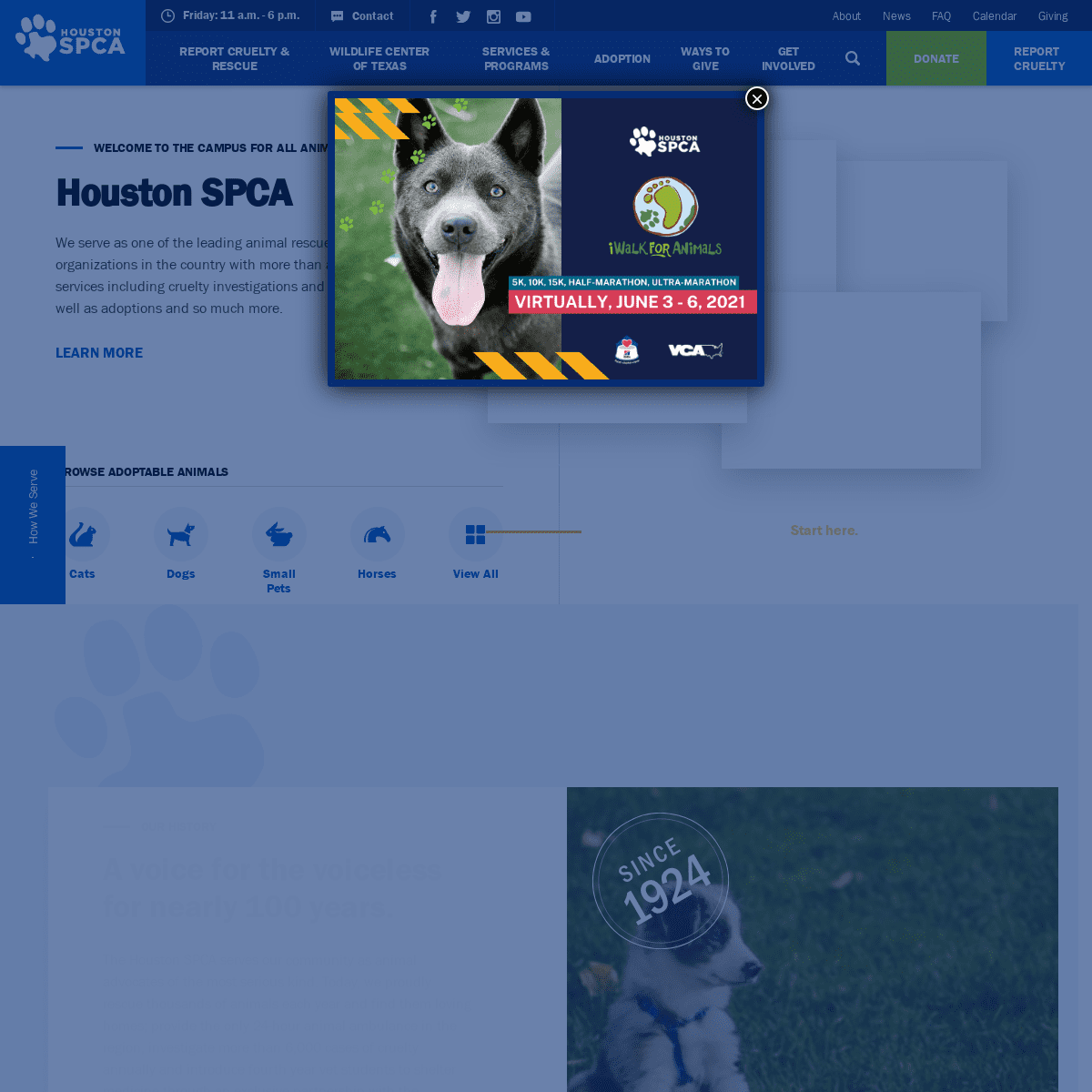 A complete backup of https://houstonspca.org