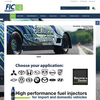 A complete backup of https://fuelinjectorclinic.com