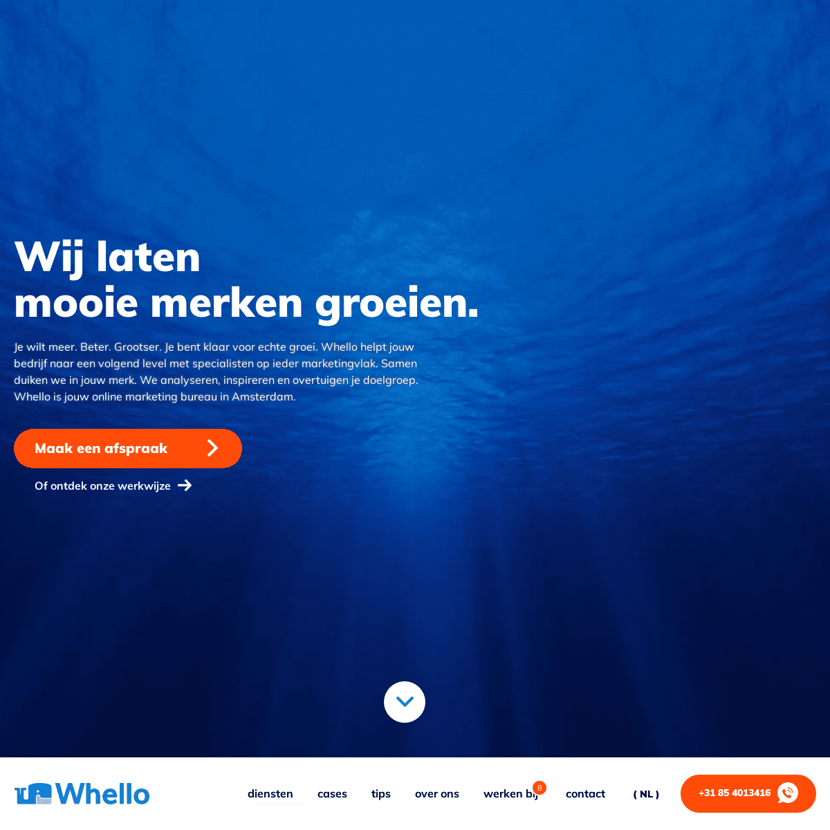 A complete backup of https://whello.nl