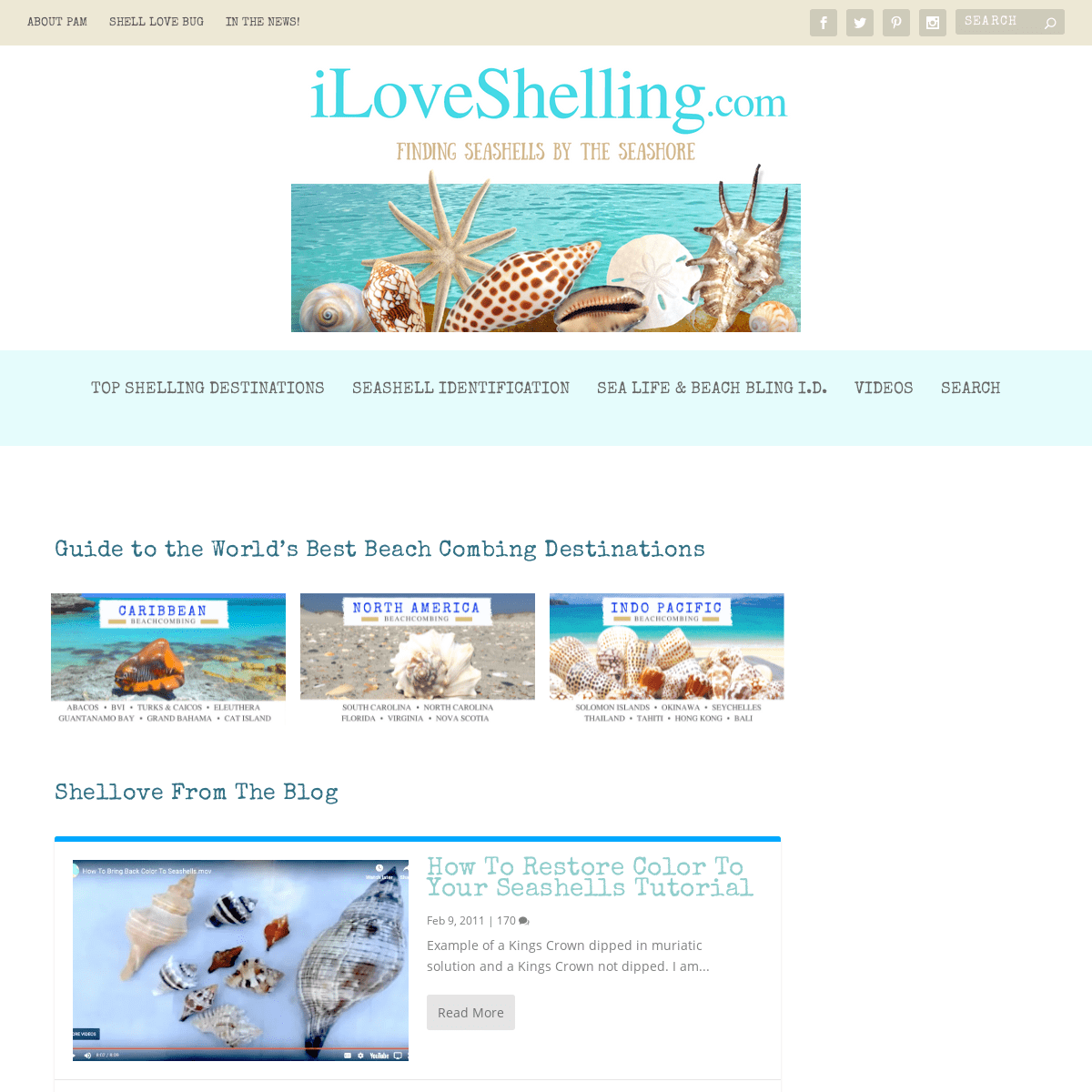 A complete backup of https://iloveshelling.com