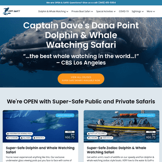 A complete backup of https://dolphinsafari.com
