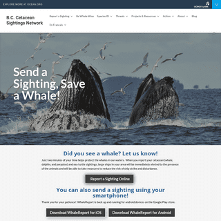 A complete backup of https://wildwhales.org