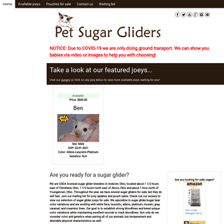 A complete backup of https://petsugargliders.com