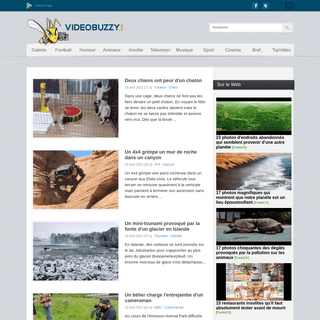 Videobuzzy.com - Les actus du web en images et en videos